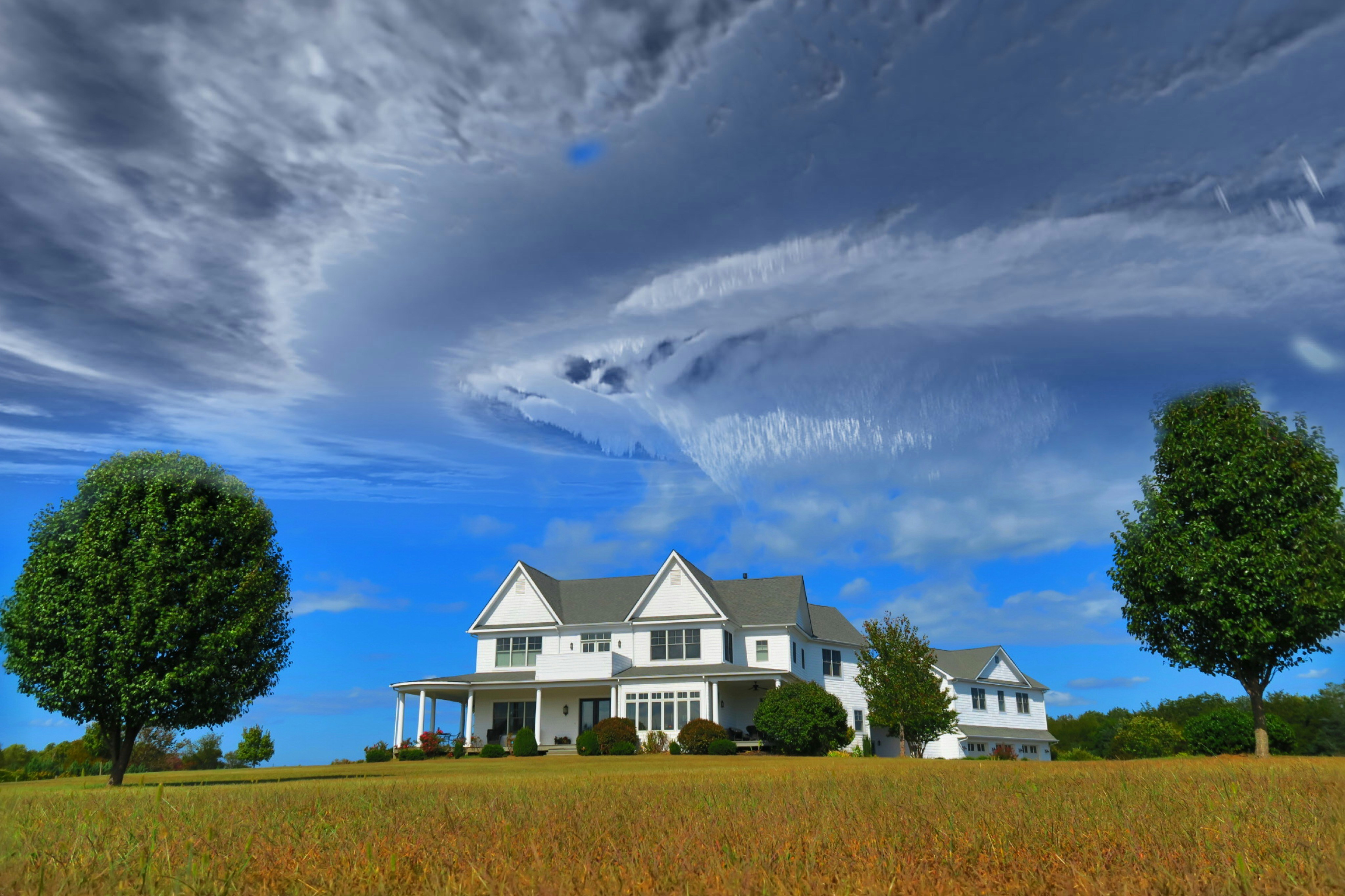 Property Search
